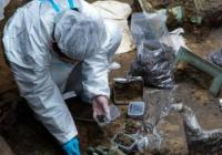 防降雨战高温 考古工作者“度夏”并不轻松 防降雨战高温 考古工作者“度夏”并不轻松