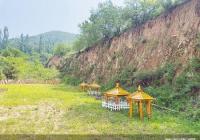 单平米价格直逼房价 宠物殡葬行业日趋走入大众视野 单平米价格直逼房价 宠物殡葬行业日趋走入大众视野