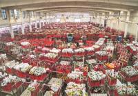 拍卖数据节节攀升 云南鲜花每日成交量都呈上升趋势