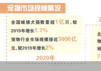 存在众多难以明说的隐忧 宠物殡葬业如何才能更加完善? 存在众多难以明说的隐忧 宠物殡葬业如何才能更加完善?