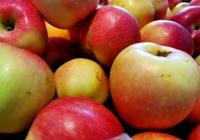 与越南陆海相连进口量规模庞大 广西如何筑牢安全屏障？