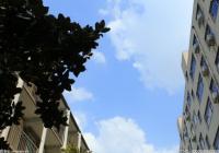 预计9月下旬海口可实现安居房申请网上办理 预计9月下旬海口可实现安居房申请网上办理