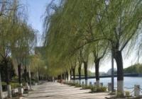 昼夜温差加大 秋季养生应遵循“阴阳平衡”的原则 昼夜温差加大 秋季养生应遵循“阴阳平衡”的原则