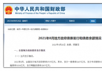 8月份地方政府债券发行和债务余额是什么情况? 8月份地方政府债券发行和债务余额是什么情况?