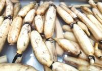 寒露以后人们很容易受寒 应当及时添加衣服