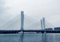川渝合作共建现代基础设施领域投资进度达71.5% 川渝合作共建现代基础设施领域投资进度达71.5%