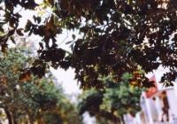 市场还属于不景气区间 二手车需求还有待进一步释放