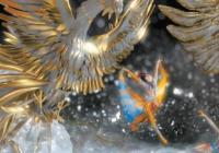 聚焦中华民族传统文化 《重阳奇妙游》拥抱年轻受众审美 聚焦中华民族传统文化 《重阳奇妙游》拥抱年轻受众审美