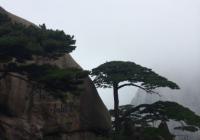 兼具物质性和人文性 南朝文人的审美观念逐渐新变 兼具物质性和人文性 南朝文人的审美观念逐渐新变