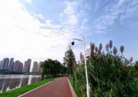 整条赛道充分展现了城市特点 跑友可尽情地用脚步丈量南昌 整条赛道充分展现了城市特点 跑友可尽情地用脚步丈量南昌