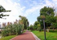 癌症病人不宜参加剧烈的运动 散步是较好的运动方式