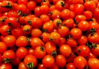 北菜南菜不断进入市场 突然跳涨的菜价有望回落 北菜南菜不断进入市场 突然跳涨的菜价有望回落