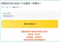 家里突然多了些来历不明的飞行物？飞来飞去它们是谁？