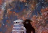 在底坑口价基础上上浮不超过20% 内蒙古助力农牧民温暖过冬