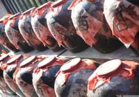 “秦酒”如何在激烈的市场竞争中获得一席之地？