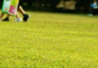 国羽公布了今年世锦赛参赛名单 谌龙放弃参赛资格