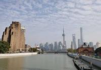 专业化程度越来越高 “越办越好”的进博会成交额有望再创新高 专业化程度越来越高 “越办越好”的进博会成交额有望再创新高