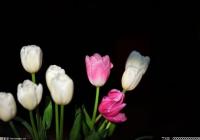 情绪的波动对血糖有着不利影响 糖友该怎么管理自己的情绪? 情绪的波动对血糖有着不利影响 糖友该怎么管理自己的情绪?