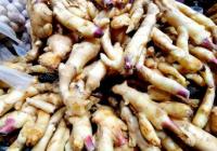 喝了一周姜汤反而病情加重？医生提醒慎用“土法”治感冒