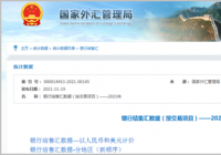 10月银行结售汇顺差与三季度月均水平相当 延续平稳运行态势 10月银行结售汇顺差与三季度月均水平相当 延续平稳运行态势