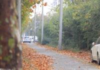 西安丰庆公园什么时间开放？有哪些开放通道？