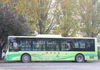 哪类运输货车在郑州市区属于全天24小时禁止驶入？