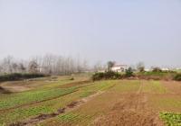 第一学年以劳动实践为主 大学劳动教育课让大家热情高涨 第一学年以劳动实践为主 大学劳动教育课让大家热情高涨