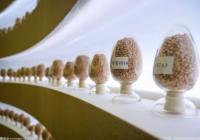 2021年浙江粮食生产呈现“三增”局面 创下六年新高 2021年浙江粮食生产呈现“三增”局面 创下六年新高