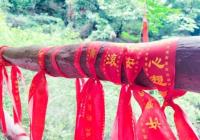 一个个“网红”目的地接棒出现 给旅游行业带来了新的方向