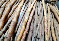 冬季是便秘的高发季 膳食纤维含量较多的食物需多吃 冬季是便秘的高发季 膳食纤维含量较多的食物需多吃