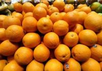 哪些食物增寿哪些食物折寿？这份清单要牢记