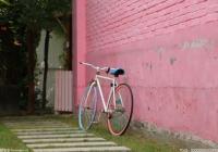 不受原材料价格上涨影响 中国自行车出口行情表现强劲