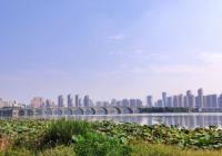 大湾区与京津冀梦幻联动 一批民生项目建设取得新进展 大湾区与京津冀梦幻联动 一批民生项目建设取得新进展