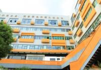 用科学方法推动智能社会发展 武汉一年来的建设进展表现“亮眼” 用科学方法推动智能社会发展 武汉一年来的建设进展表现“亮眼”