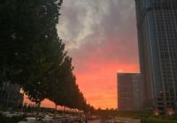 增长提速明显 11月江西外贸规模居全国第五位中部地区第一位