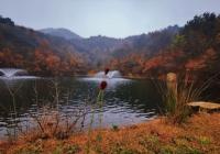 水是军团菌的主要生存场所 冬日泡汤还需加强预防