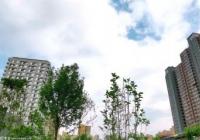 从5个方面持续发力 河南推进招商引资高质量创新发展