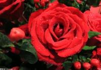 角色与自己互相映照 阿云嘎坦言演角色也是演自己