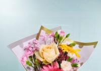 现代农业不断发展壮大 云南花卉产业日渐高质量发展