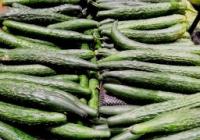 血脂异常是心血管疾病重要的危险因素之一 需控制膳食胆固醇摄入 血脂异常是心血管疾病重要的危险因素之一 需控制膳食胆固醇摄入