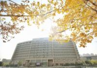 应届毕业生求职的主要途径是什么?他们最期待哪些就业支持? 应届毕业生求职的主要途径是什么?他们最期待哪些就业支持?