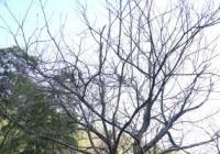 国门文化大院 特色鲜明的民族文化让精神生活丰富起来