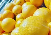 2021年粮食和农业生产再获丰收 产量创历史新高 2021年粮食和农业生产再获丰收 产量创历史新高