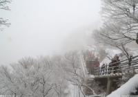 运动氛围愈加浓厚 崇礼冰雪产业集群初步形成