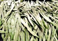 对主要批发市场进行补贴 北京商务部门持续吸引货源