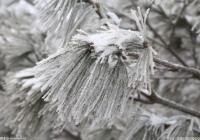 让孩子爱上冰雪运动不能靠强制措施 关键在因势利导 让孩子爱上冰雪运动不能靠强制措施 关键在因势利导