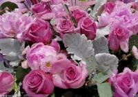 需求愈发旺盛 云南高品质鲜花明显呈现供不应求状态