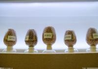 采访拍摄上百位人物 纪录片《种子 种子》正在热播