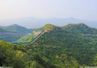 造像极具典型性 线刻方式为石窟寺造像考古增添了新类型