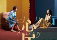 深入世俗却不世俗 《心居》引发对女性婚姻家庭议题的深刻思考